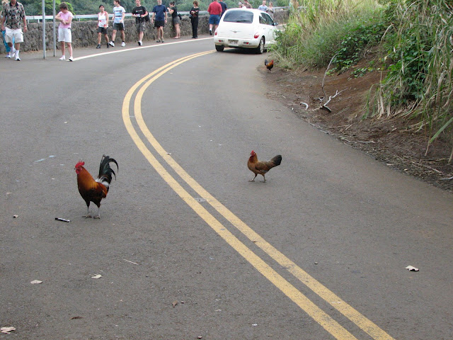 Why_did_the_chicken_cross_the_road-
